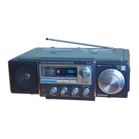Preview: Panasonic RF-3100