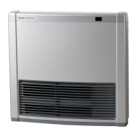 Preview: Rinnai AVENGER 25Plus