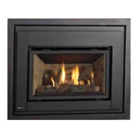 Preview: Regency Fireplace Products E18
