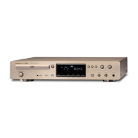 Preview: Marantz DV7000