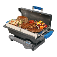 Preview: Woodflame Delecto