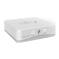 Preview: British Sky Wireless Booster