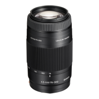 Preview: Sony SAL75300