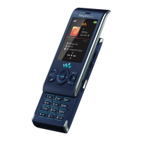 Preview: Sony Ericsson W595