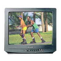 Preview: Sharp 13N-M100