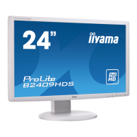 Preview: Iiyama PLB2409HDS-B1
