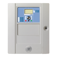 Preview: Ziton ZP2-F Series