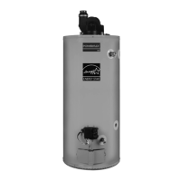 Preview: American Water Heater Powerflex
