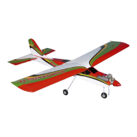 Preview: Seagull Models Boomerang 40