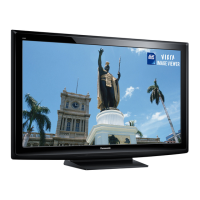 Preview: Panasonic TC-P50X2