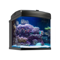 Preview: JBJ 28g Nano Cube LED
