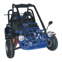 Preview: Dazon Raider Max 175S