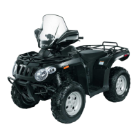 Preview: Arctic Cat 2010 366