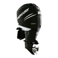 Preview: Mercury 200