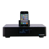 Preview: Blaupunkt IP 240