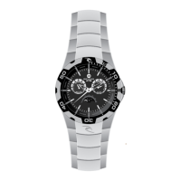 Preview: Rip curl Trestles Tide Watch