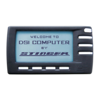 Preview: Stinger DSI
