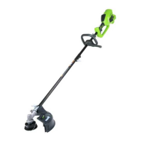 Preview: GreenWorks 2100000