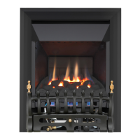 Preview: Focal Point BLENHEIM HE GAS FIRE