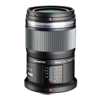 Preview: Olympus ED 60mm f2.8 Macro