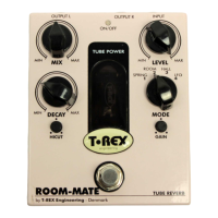 Preview: T-Rex Room-mate