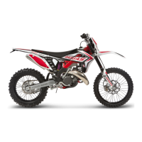 Preview: GAS GAS EC 125 Racing 2013