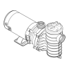 Swimming Pool Pump Logo