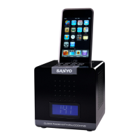 Preview: Sanyo DMP-P1