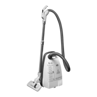 Preview: Sebo air belt C3.1