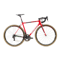 Preview: RIDLEY Bicycle