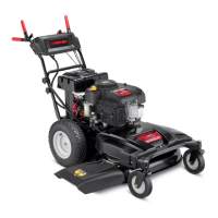 Preview: Troy-Bilt TB WC33 XP