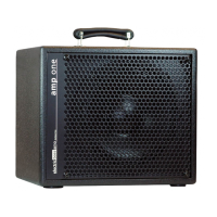 Preview: AER amp one