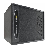 Preview: AER amp one