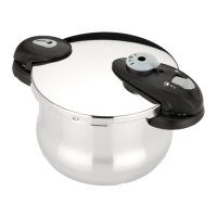 Preview: Fagor FUTURO PRESSURE COOKER