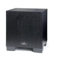 Preview: MartinLogan Dynamo 300