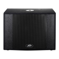 Preview: Peavey Messenger Pro Sub