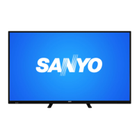 Preview: Sanyo DP50E84