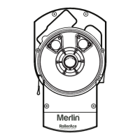 Preview: Merlin RollerAce MR60