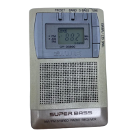 Preview: Aiwa CR-DS800