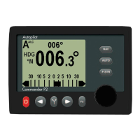 Preview: ComNav Commander P2