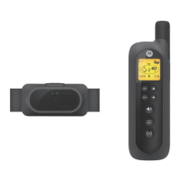 Preview: Motorola SCOUTTRAINER100