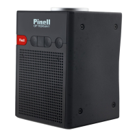 Preview: Pinell Go radio