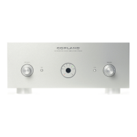 Preview: Copland CTA405