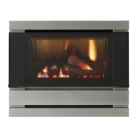 Preview: Fitzroy Powerflue In-built