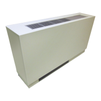 Preview: ICE AIR CHW