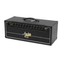 Preview: Hayden HGT-A