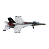 Preview: Freewing F 18E