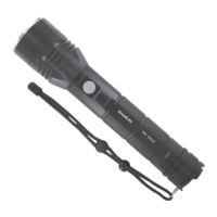 Preview: GreatLite Tactical E66