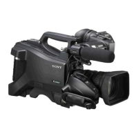 Preview: Sony HXC-D70
