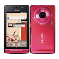 Preview: Docomo Lumix P-02D